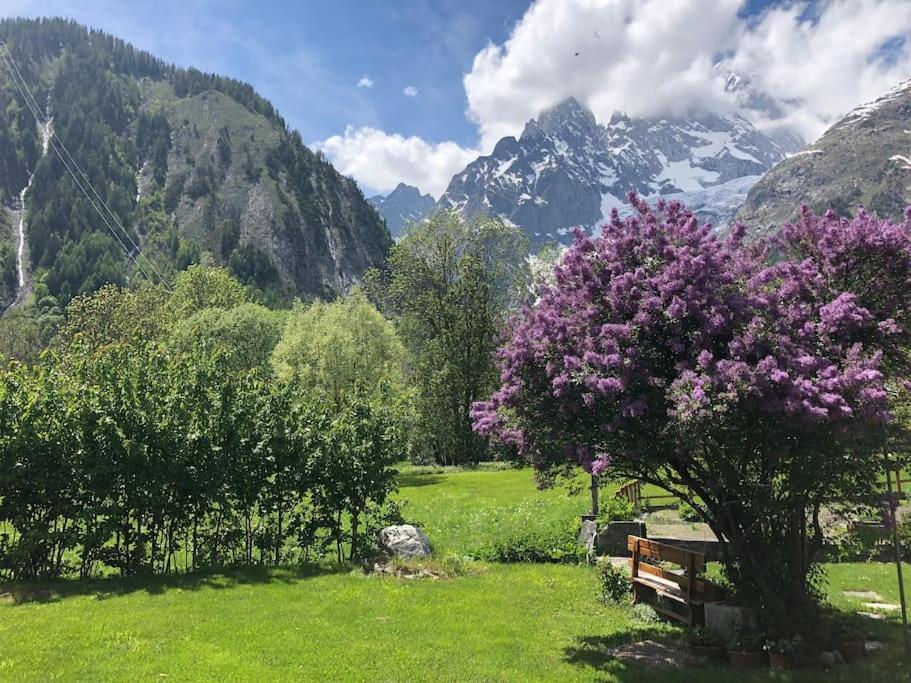Appartamenti Vista Monte Bianco Courmayeur-Entreves Ngoại thất bức ảnh